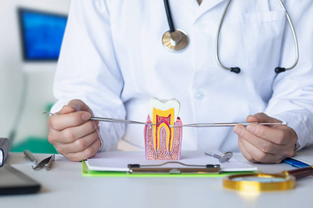 Best Emergency Care for Gum Disease in Spirit Lake, ID
